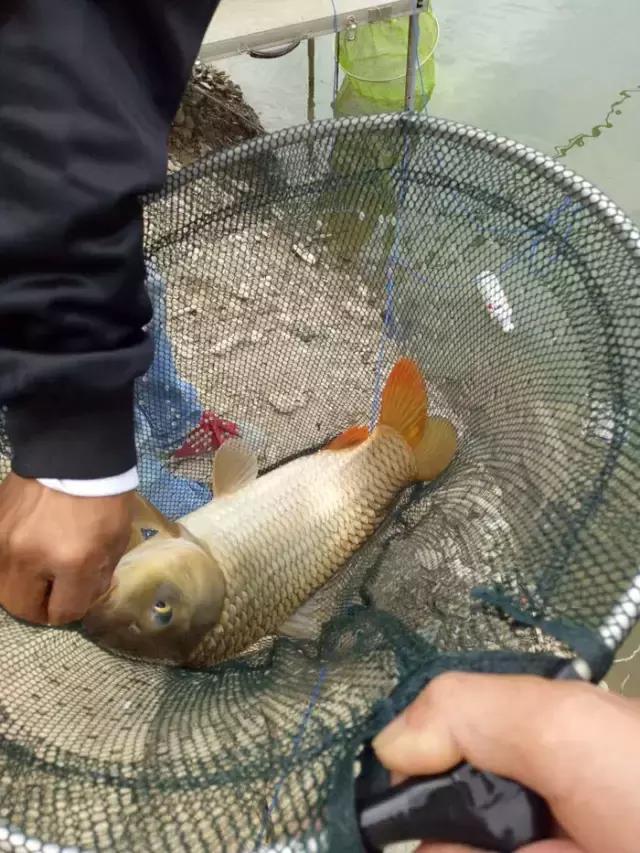 閽撻奔娓旇幏鎴樻姤,閽撻奔浜虹鎭╃埍