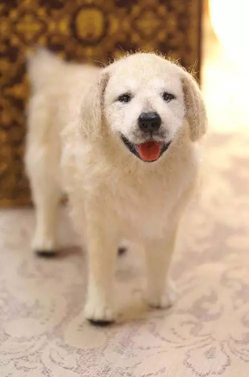 在日本买到假货,日本假货最新处理方法