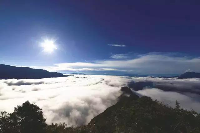 奇葩牧场|不养牛不养羊,居然养这个?