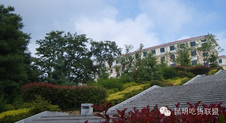 板扎昆明,板扎云南烧烤