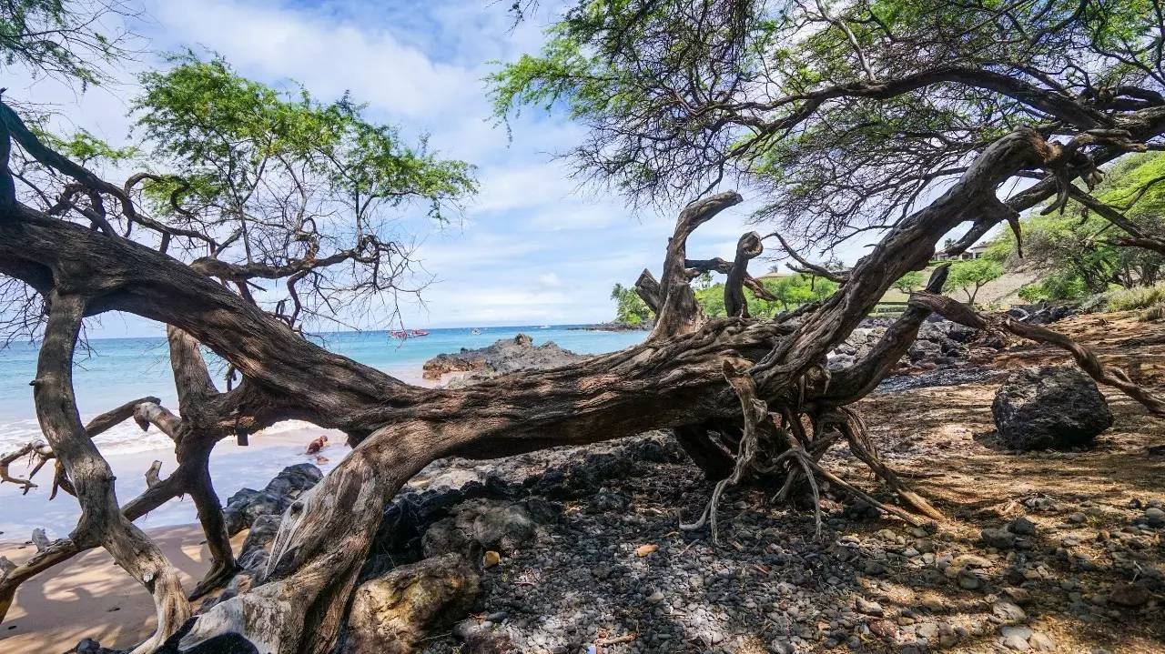 jeep指南者自驾游感受,在路上jeep美国