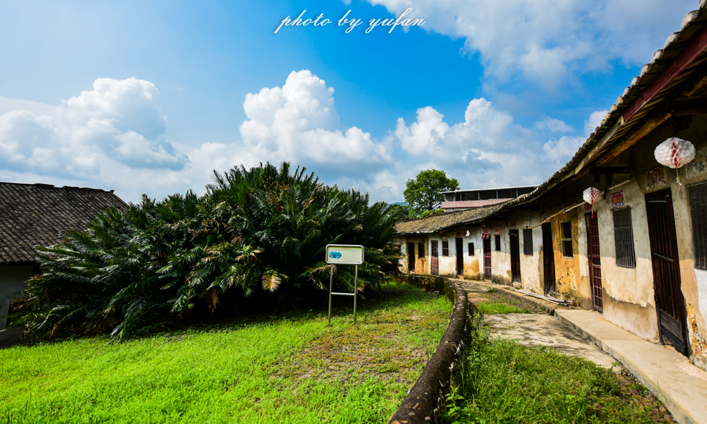 丝路奇迹:观围屋之典范,赏苏铁之传奇