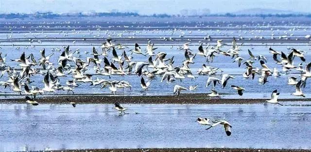 鏅ㄨ澶╂触,澶╂触鏅ㄨ