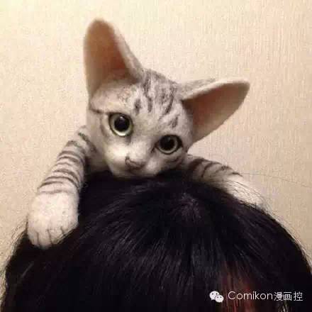 可爱猫咪戴着发箍,可爱的猫咪发箍