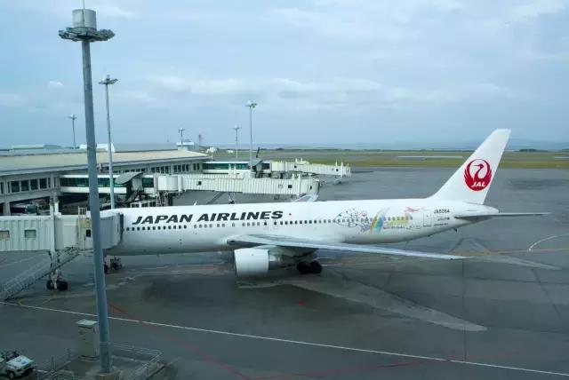 全日空哆啦a梦彩绘机,日本推出哆啦a梦客机