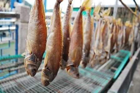 鼻咽癌的病因护理评估和护理措施,健康科普喉癌的种类有哪些