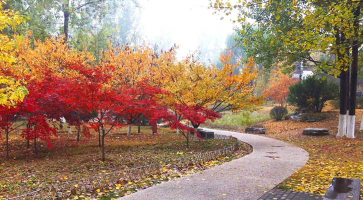 山东济南免费的景点攻略,济南免费景区哪个景区值得去