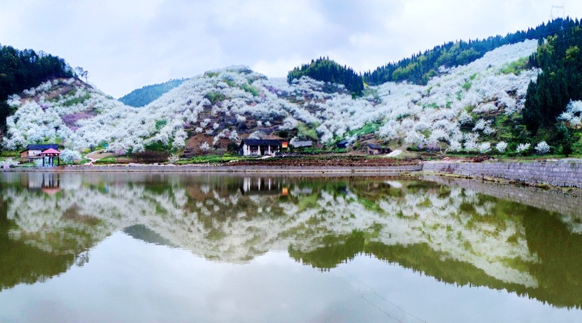 重庆免费景点一览表大全,重庆免费景点合集