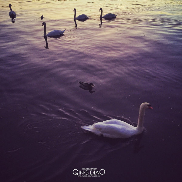 瑞士和法国旅行攻略,行摄川藏旅行