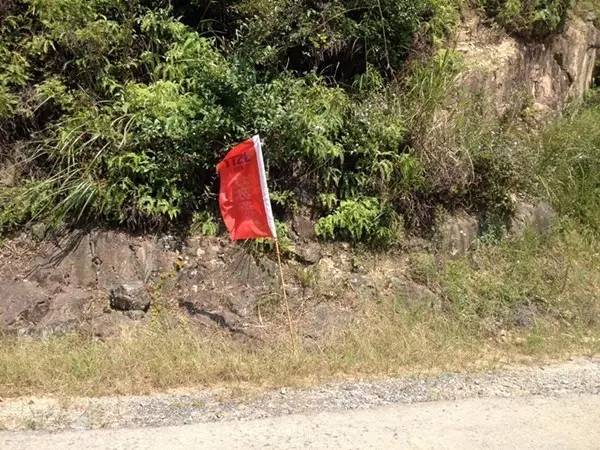 霞浦东海一号公路路线图最新,霞浦县柏洋乡联七线