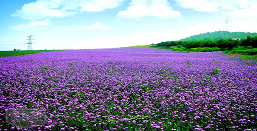 山东济南免费的景点攻略,济南免费景区哪个景区值得去