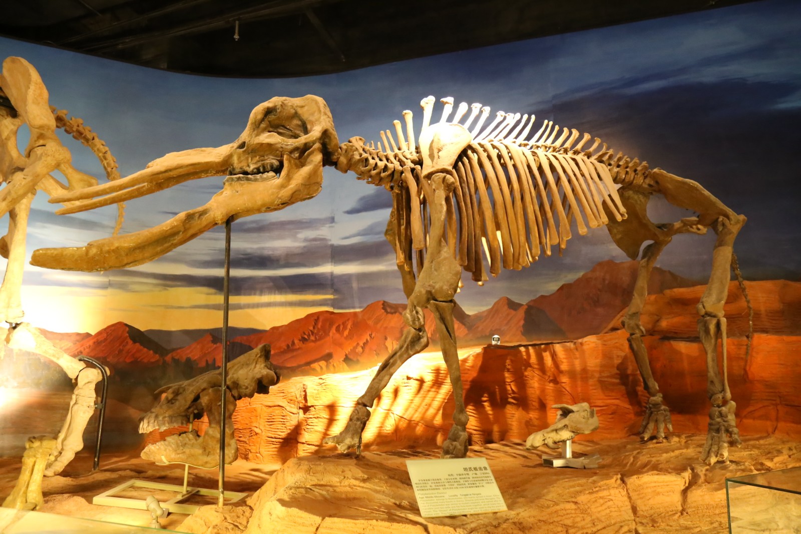 取经之路刚开始,取经之路片段