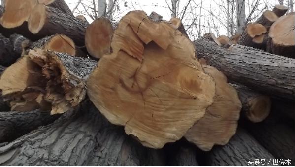 缺木的人该怎么补救,缺木的人该注意什么