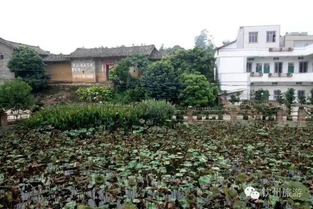 钦州周末出游攻略,钦州乡村旅游攻略