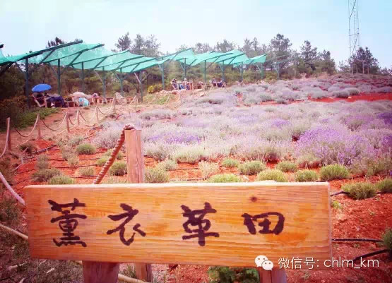 昆明大板桥农家乐的好去处,昆明农家乐烧烤游玩