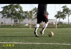 足球明星奥科查,足球名宿奥科查