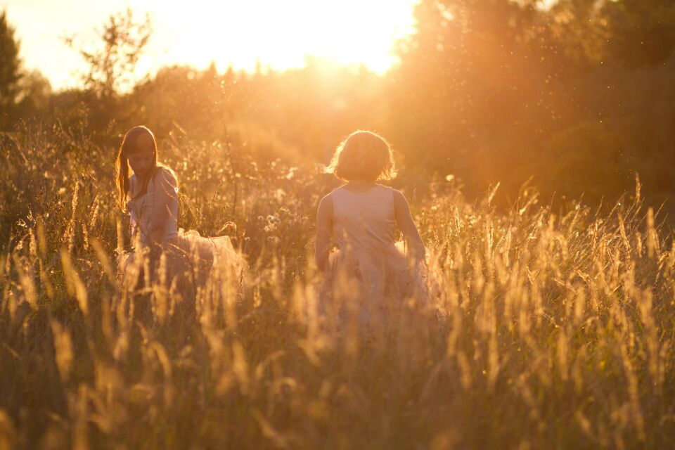 桑格莉之夏完整版,桑格莉之夏完整版视频