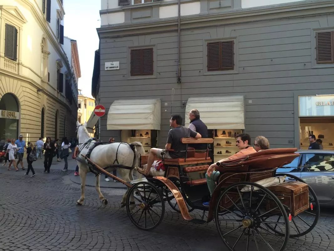 蓝瘦香菇在这里视频,蓝瘦香菇在法国