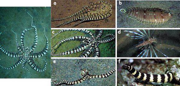 有哪些很多人不知道的冷知识,10个冷知识你知道什么