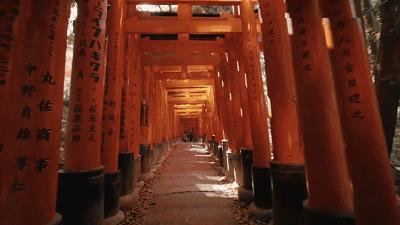 日本写给生活的情书,寄给时光的信件