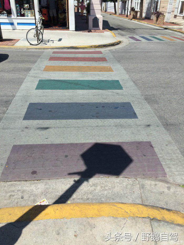 野鹅旅行,野鹅自驾无人区