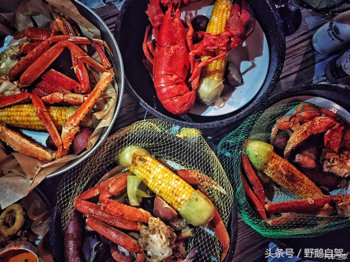 野鹅旅行,野鹅自驾无人区