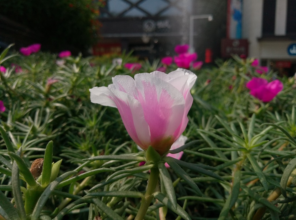 魅族魅蓝max功能,魅蓝note青年良品