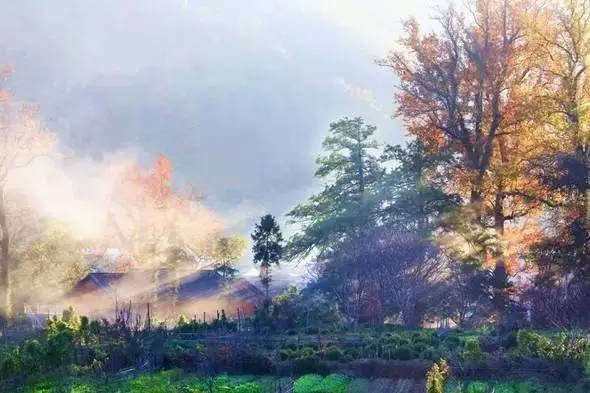 江西10.1小众自驾游路线推荐,江西最好的10条自驾游线路