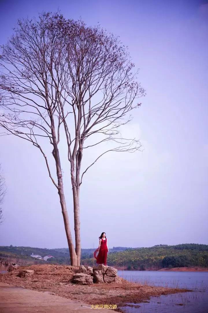 武汉周边打卡拍照圣地,武汉适合女生拍照打卡的地方
