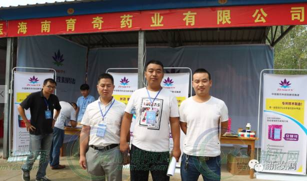 河南养猪业巨头,河南养猪身价百倍