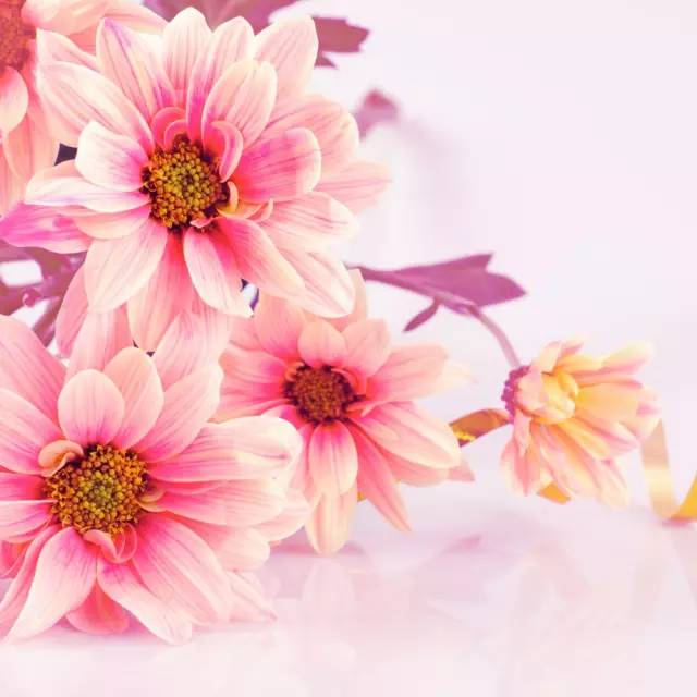 厨房排水口堵塞疏通方法,厨房底部排水管堵塞疏通方法