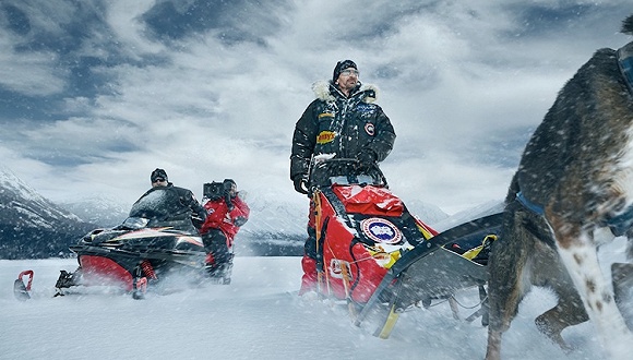 加拿大鹅在中国上市吗,高品质鹅羽绒已上市