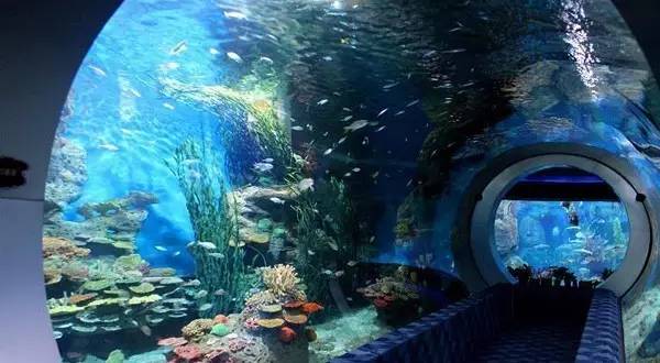 成都主题乐园推荐,成都新增的主题乐园