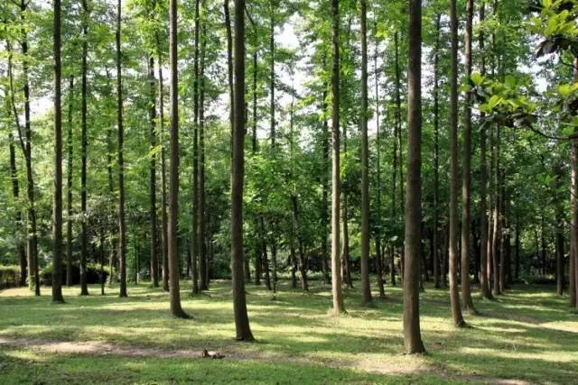 成都主题乐园推荐,成都新增的主题乐园