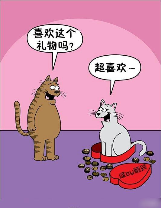 今天还是一如既往的冷！每日轻松一刻1月24日周日版