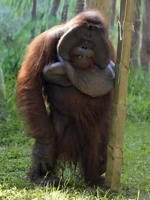 朋友圈发海边泳衣照好不好,朋友圈晒沙滩泳装