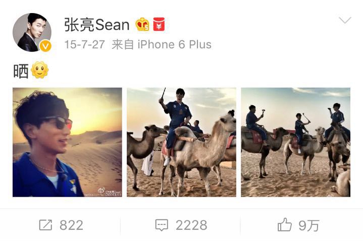 围观大波儿明星扎堆来宁夏，他们都爱晒点啥？