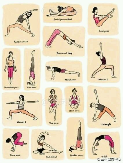 什么是死肌肉图,什么叫做死肌肉原视频