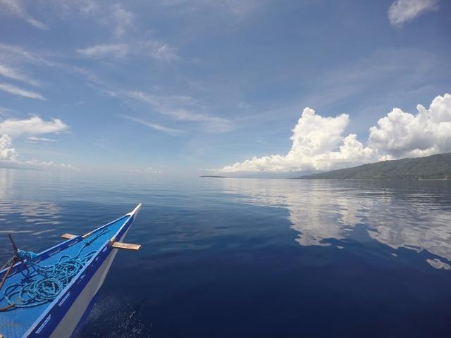 菲律宾潜水游记 (回忆菲律宾潜水的时光)