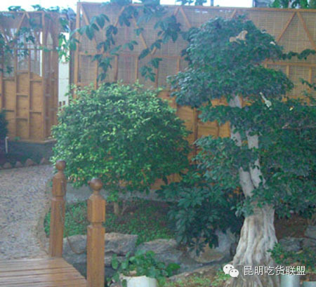 昆明大板桥农家乐的好去处,昆明农家乐烧烤游玩