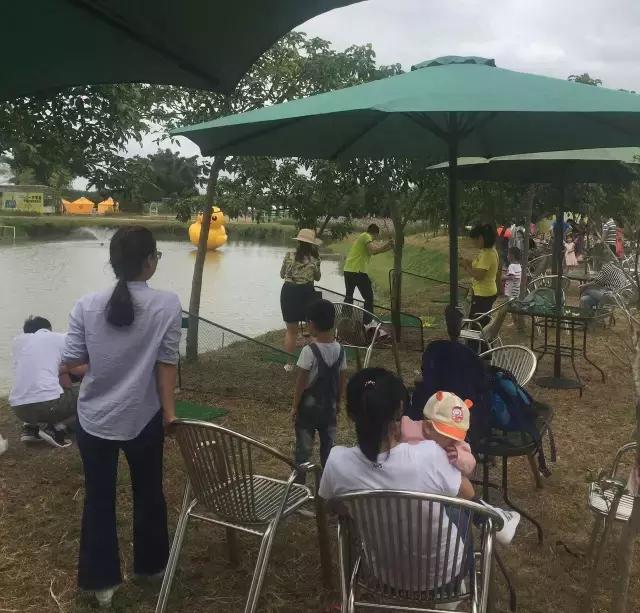 重阳节与老人互动,重阳节和老人互动