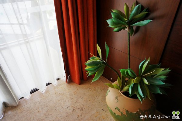 泡在三亚，一家度假酒店足以