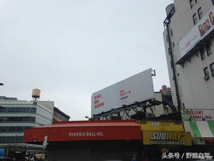 野鹅旅行,野鹅自驾无人区