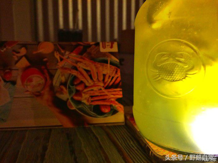 野鹅旅行,野鹅自驾无人区