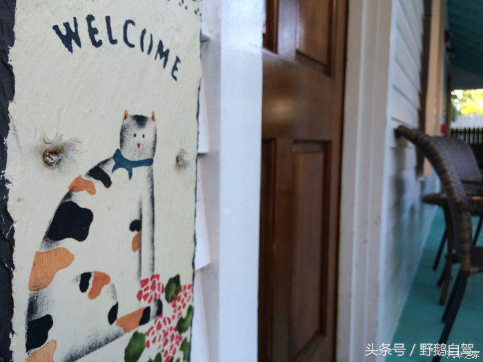 野鹅旅行,野鹅自驾无人区