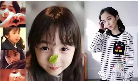 宫崎骏全集4k资源,宫崎骏动画电影全集国语风之谷