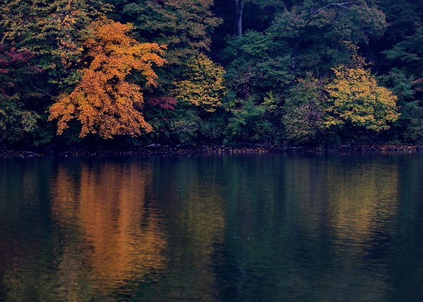 吉林白山附近有什么风景区,吉林有山有水的旅游景点