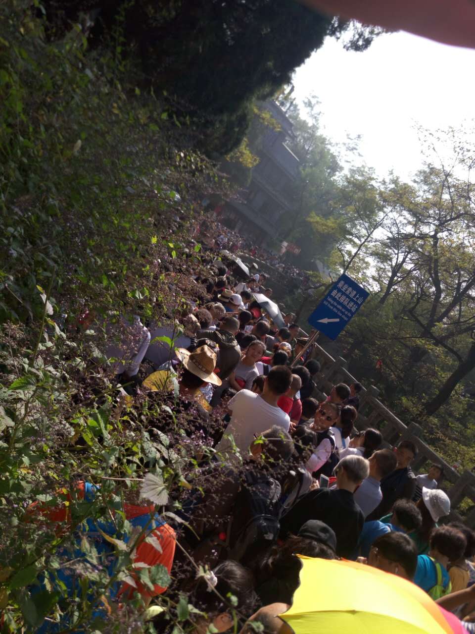 泰山归来感想,泰山归来感慨