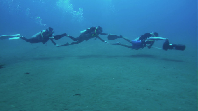 菲律宾潜水游记 (回忆菲律宾潜水的时光)