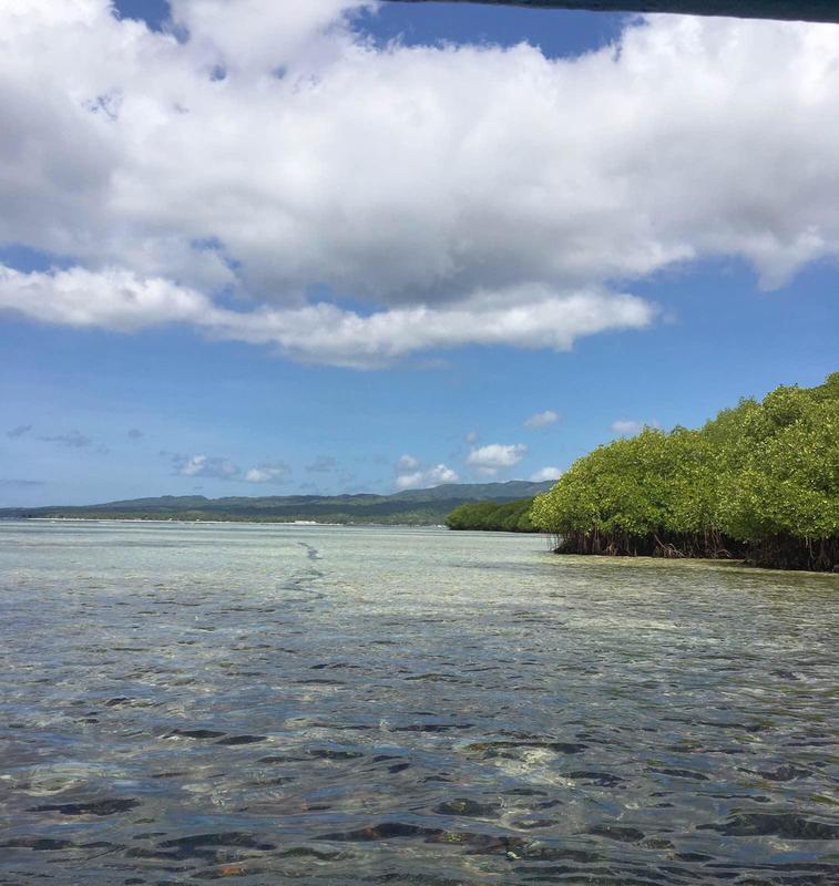 bali巴厘岛旅行记,巴厘岛baliswing